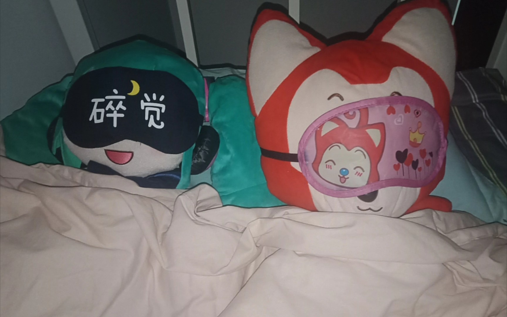 fufu和阿狸一起睡觉了_哔哩哔哩_bilibili