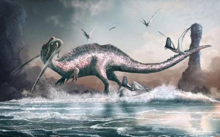 狩猎天空的影子——查林杰激龙