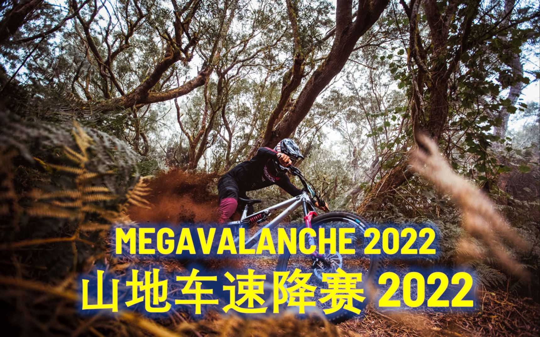 [图]完整版 沉浸纯享 第一名 2022 山地车速降赛(MEGAVALANCHE 留尼汪岛站) 奥利维尔·布鲁威尔视角