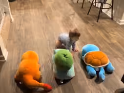 ...