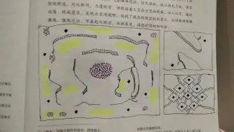 下载视频: 在学校玩不到红警导致的