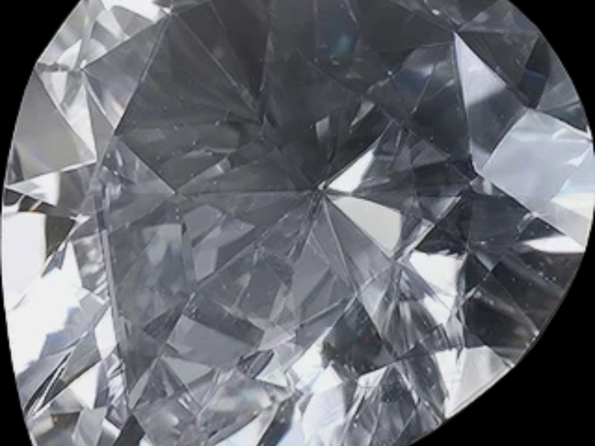 校草投票投非洲之星这一块的