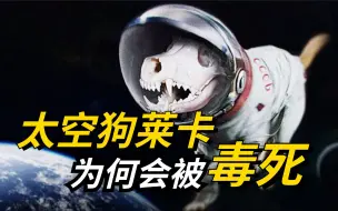 Download Video: 第一条进入太空的狗，前苏联为什么要毒死它？时隔65年终于解密