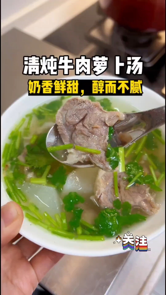 奶香奶香的清炖牛肉萝卜汤!真特喵的好吃牛肉汤牛肉萝卜汤做法哔哩哔哩bilibili