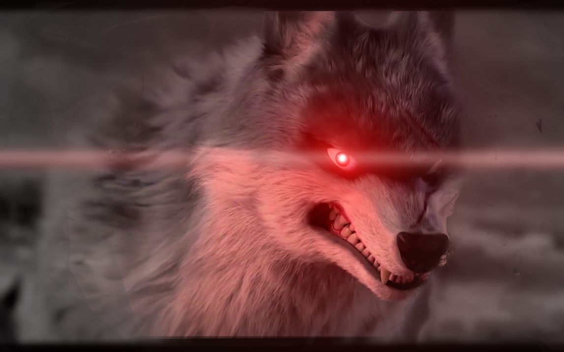 这么帅的独眼你不约