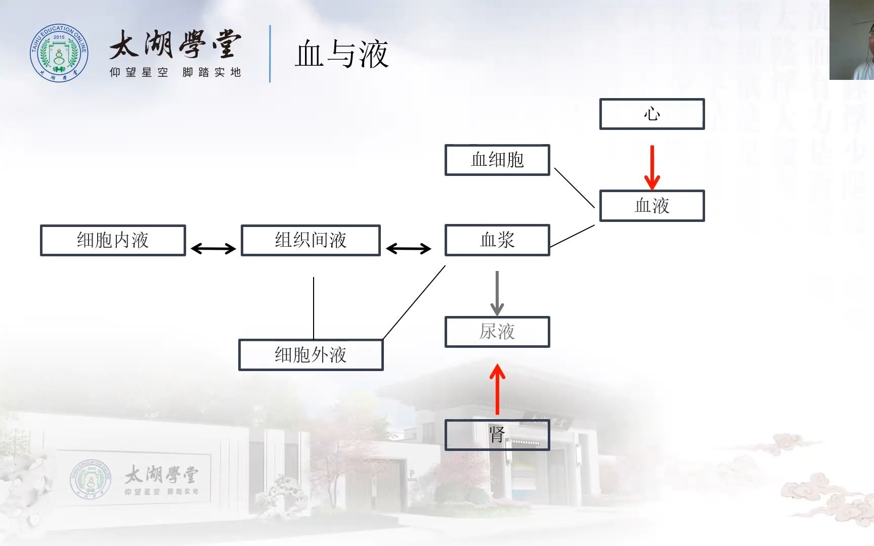 [图]各家学说-中医痰饮病学 概论01 吴雄志老师