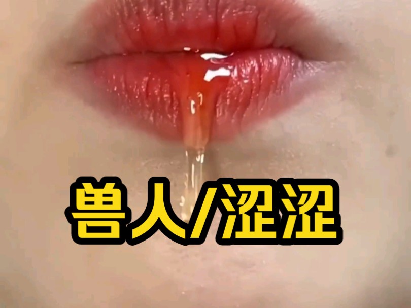 小说推荐《撸猫涩涩》哔哩哔哩bilibili