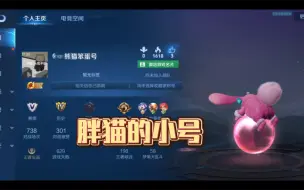 Download Video: 【胖猫】这应该是胖猫的陪玩的小号   好心痛                 一路走好