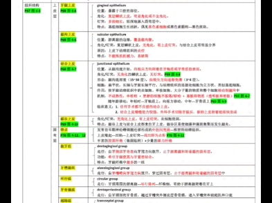 口病 第四章牙周组织哔哩哔哩bilibili