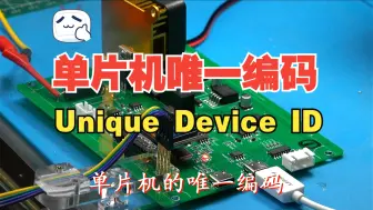 Télécharger la video: 单片机的唯一编码