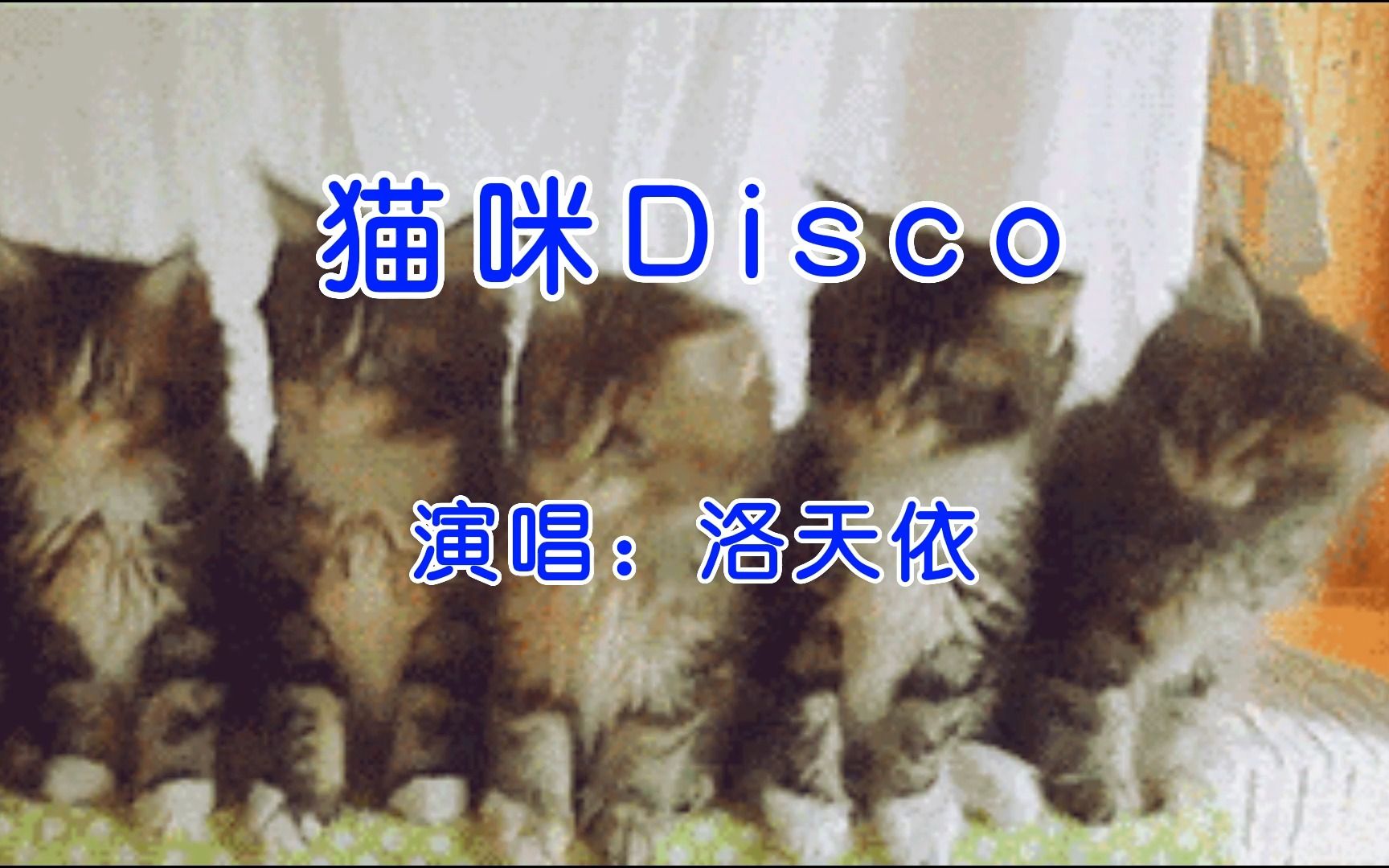 【洛天依原创】《猫咪Disco》|今天我是一只猫,喵喵喵喵喵喵q(≧▽≦q)哔哩哔哩bilibili