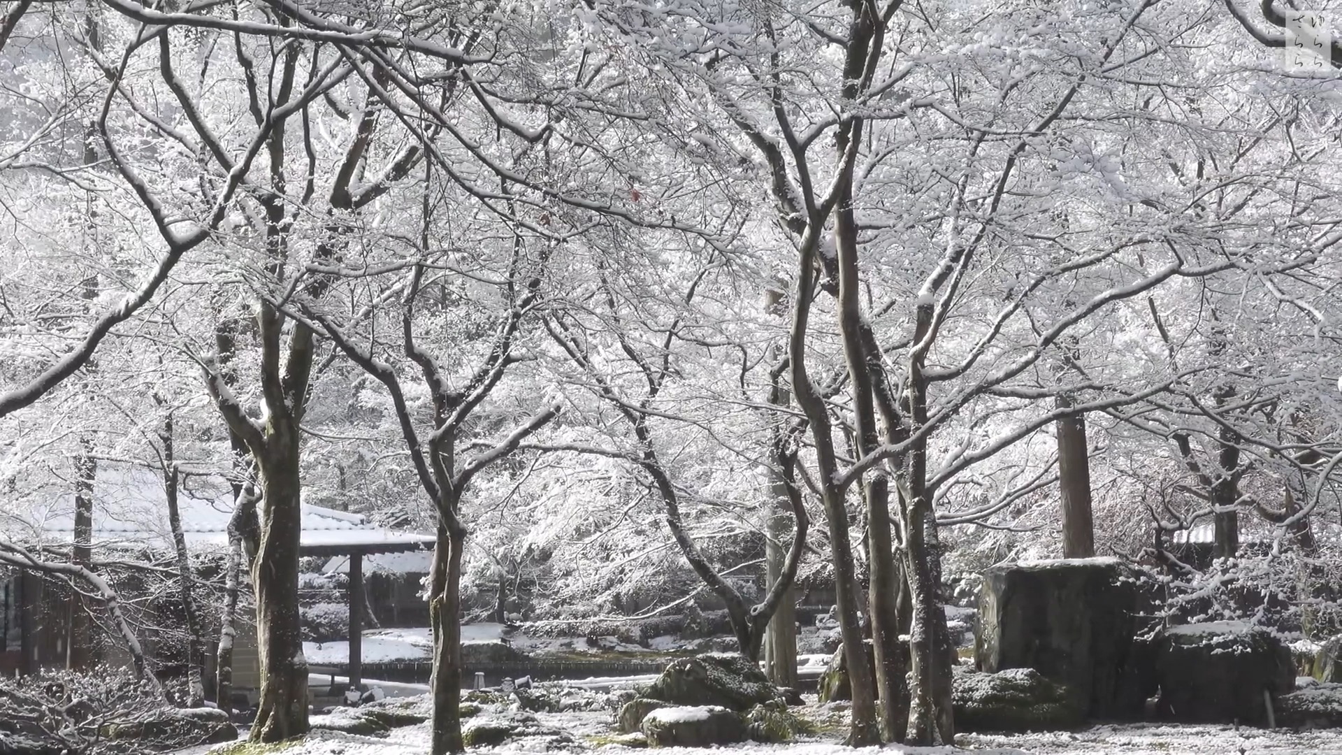 【白色相簿 | 京都雪】 《恋色空》——森川由绮哔哩哔哩bilibili