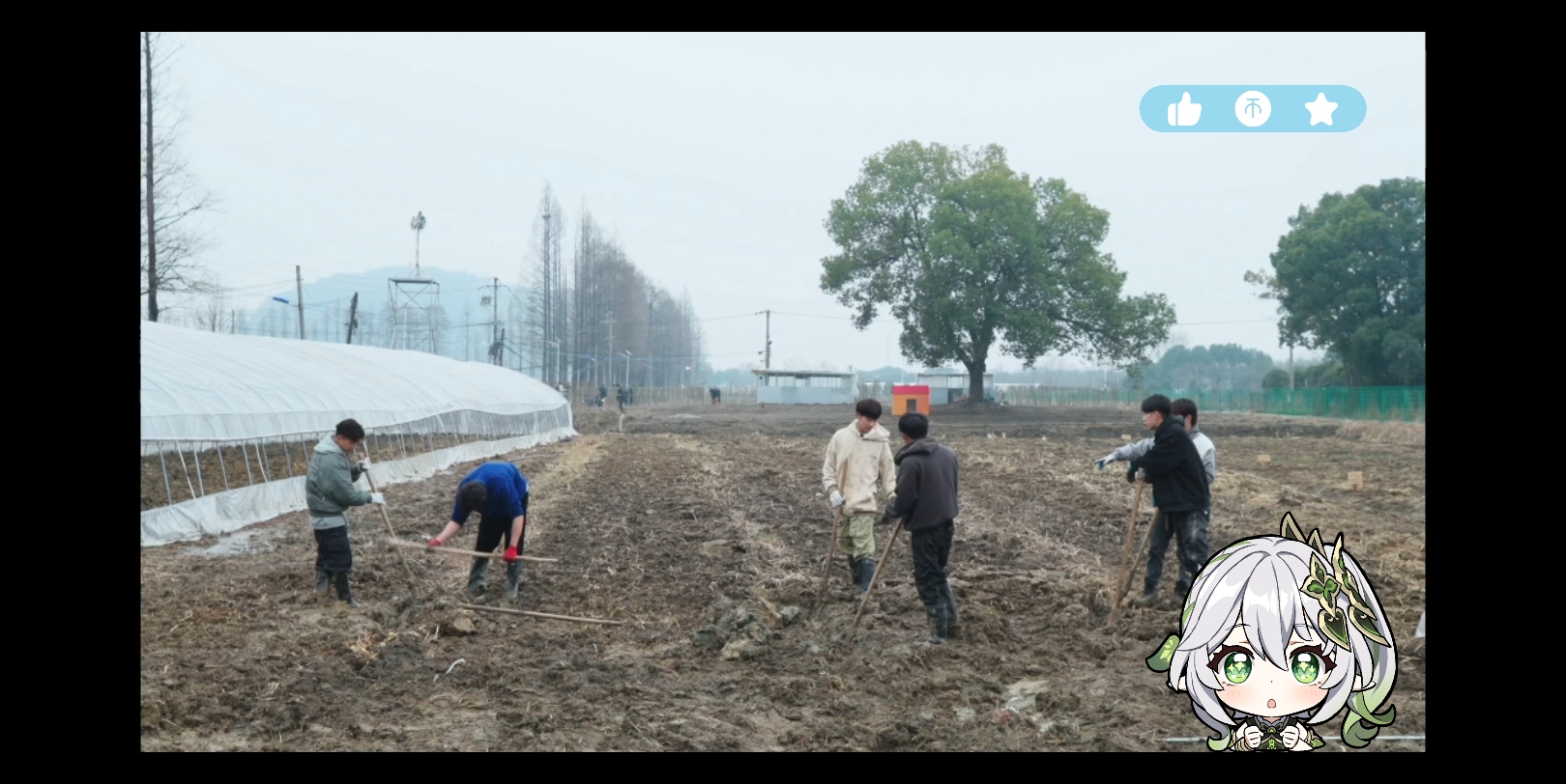 【种地吧|鹭卓】4.23稍息单线版 二哥谈稍息优点哔哩哔哩bilibili