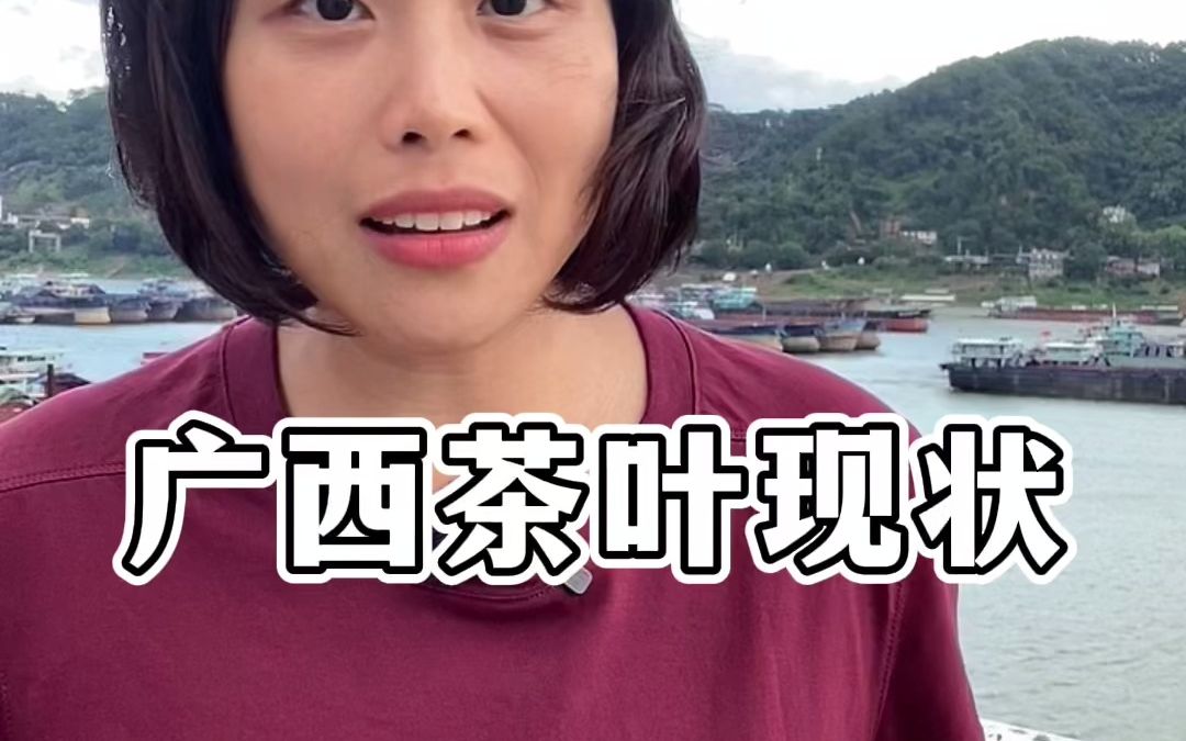 广西茶叶现状