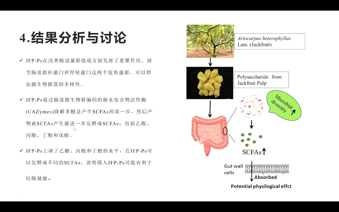 11.7文献汇报既好吃又健康?吃菠萝蜜的好处菠萝蜜多糖调节肠道菌群组成并改善短链脂肪酸产生哔哩哔哩bilibili