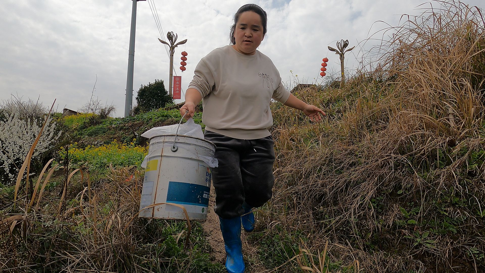 苗大姐鸡粪差倒身上,发苗盖棚挖地球,陪孩子游玩的一天