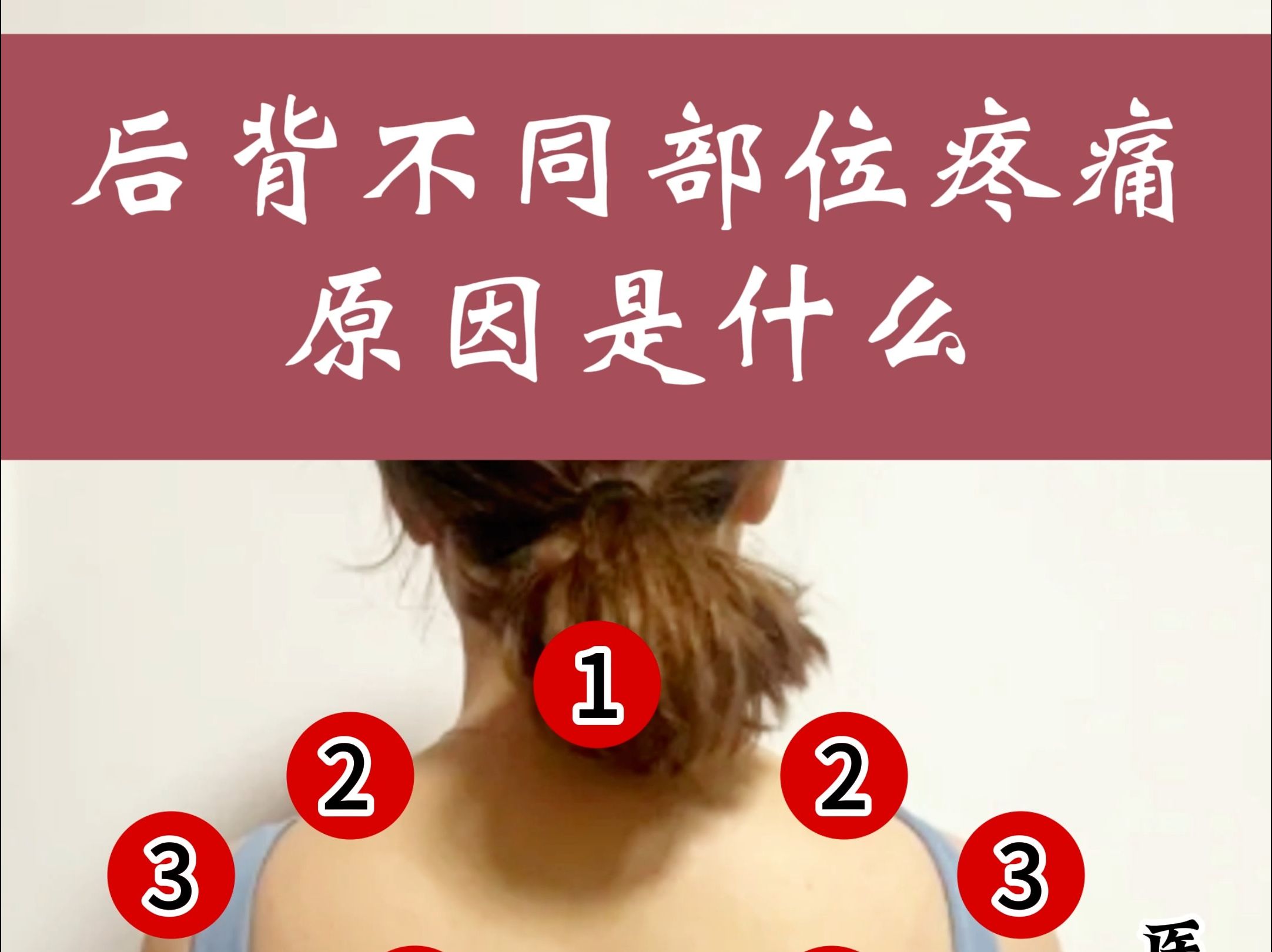 女性后背图片疼痛部位图片
