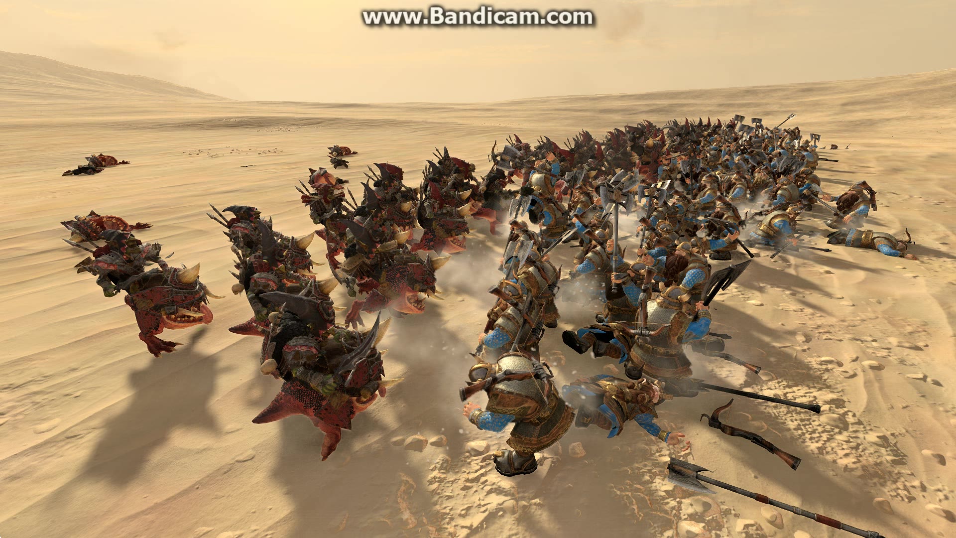 重甲史古格vs重武器重失弩手