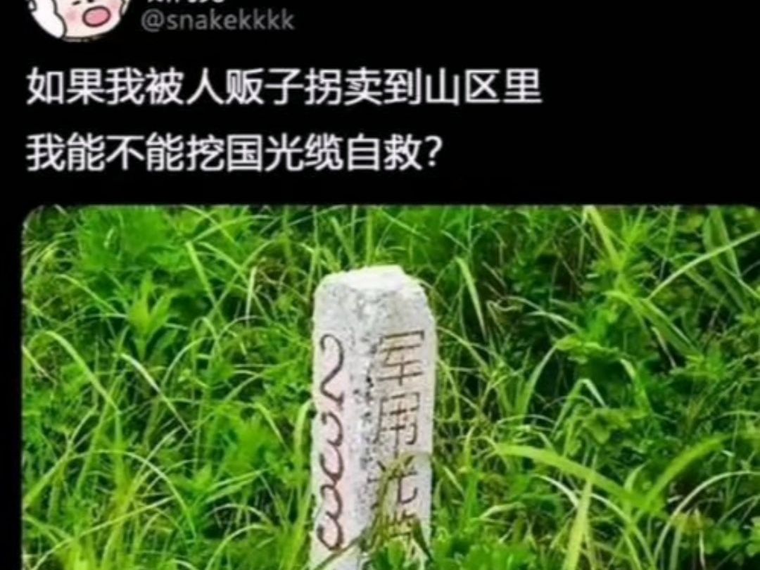 那些让人生草的爆笑图(400)