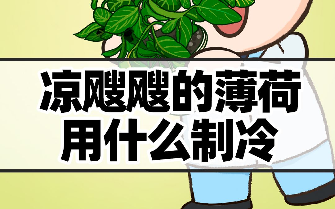 [图]你知道，冷飕飕的薄荷用什么制冷吗？#薄荷 #植物科普