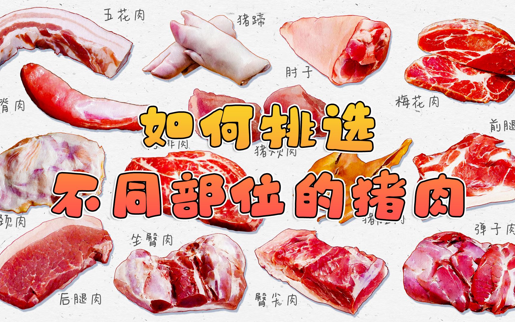 教你如何挑不同部位的猪肉,不同部位的猪肉最适合制作的美味有哪些?哔哩哔哩bilibili