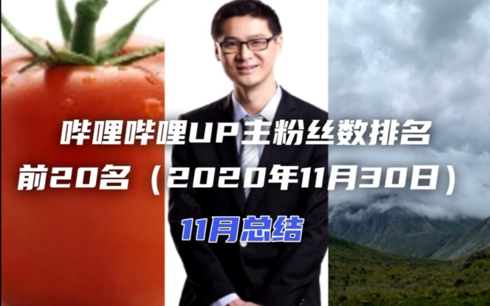 首个2000万粉up主竟是?UP主粉丝数排名前20名(2020年11月30日)全收录【11月总结】【内容更新】哔哩哔哩bilibili