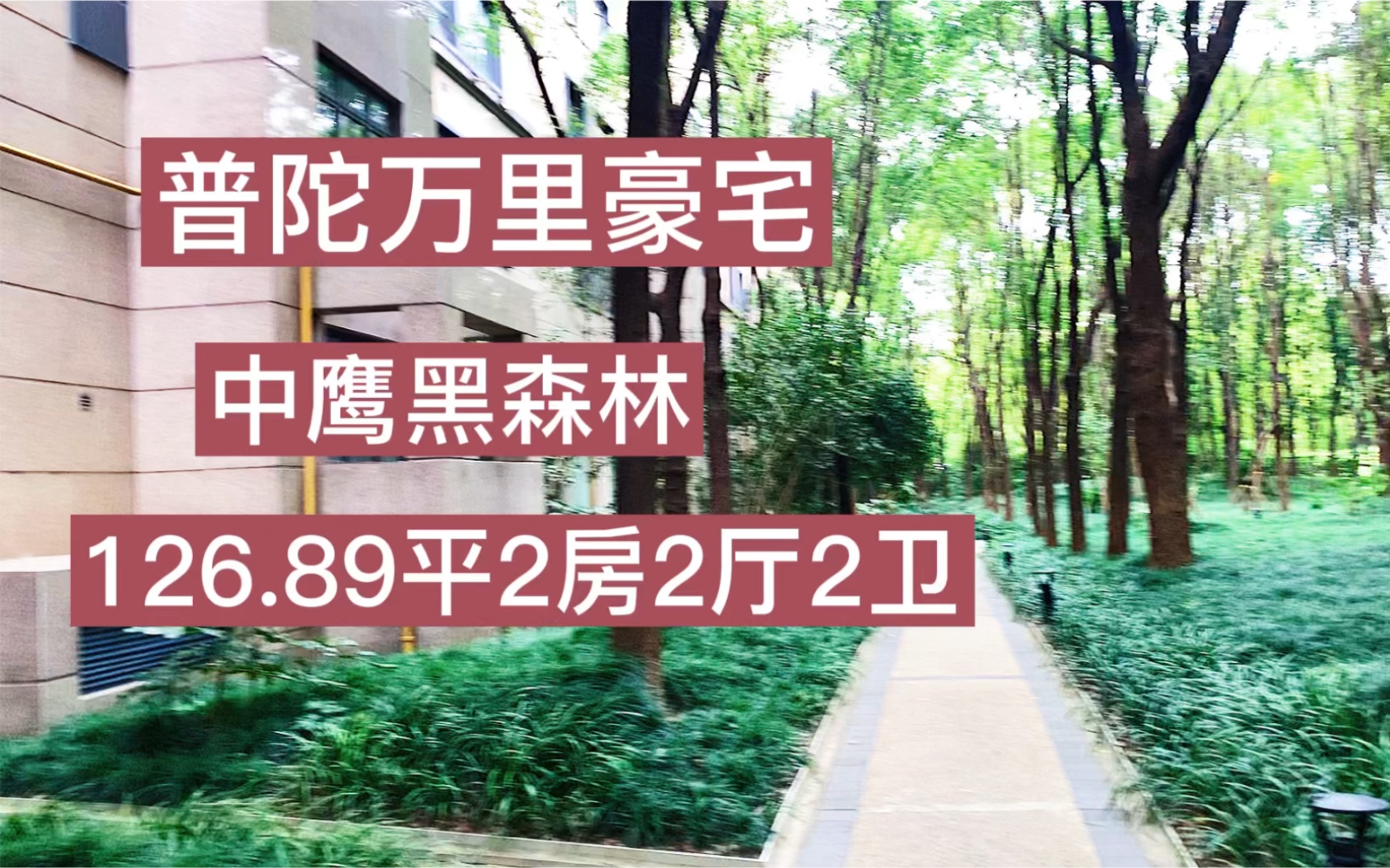 上海普陀区万里豪宅:中鹰黑森林126.89平2房2厅2卫哔哩哔哩bilibili