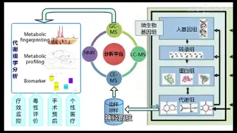 Descargar video: 脑控原理，希望被骗的人越来越少，希望受害者都能发声！电子监狱，囚禁虐待，电子酷刑，逼迫受害人掏钱，心甘情愿以投资，赌博等方式被诈骗。