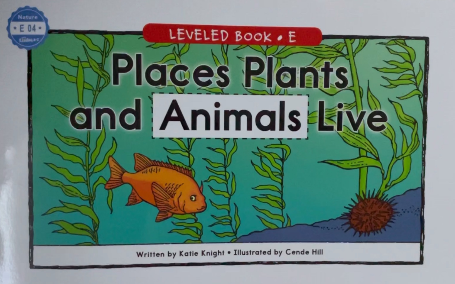 少儿英语RAZ分级阅读E04 Places Plants and Animals Live 植物和动物生活的地方哔哩哔哩bilibili