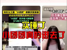 Download Video: 实锤了，小团团真的进去了