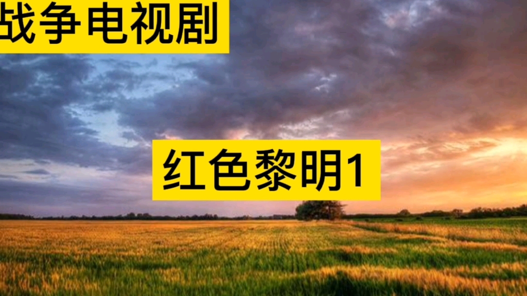 战争电视剧红色黎明1