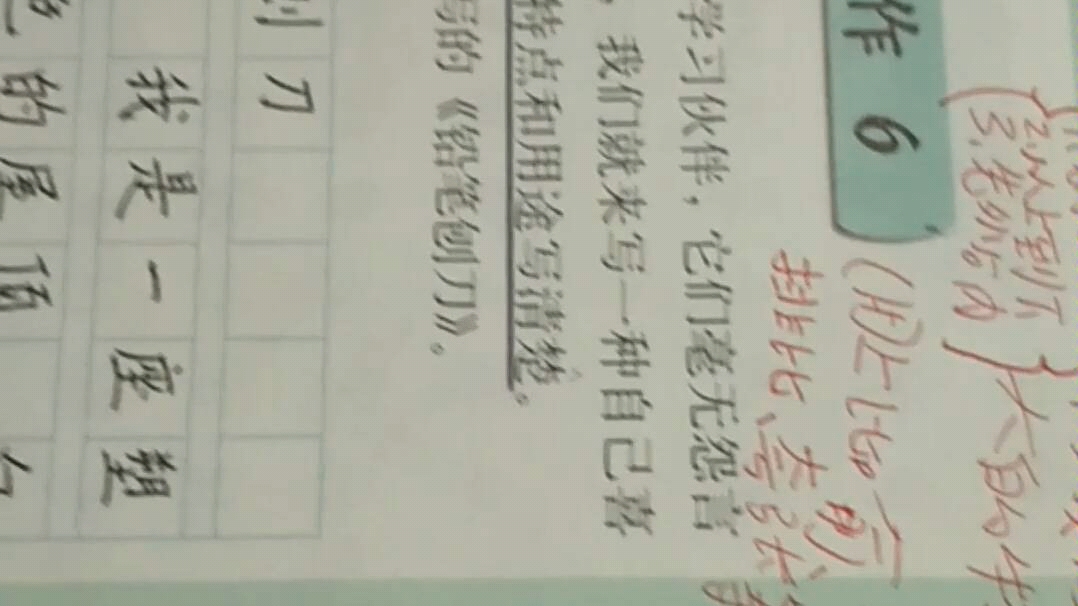 三年级语文上册《习作六》哔哩哔哩bilibili