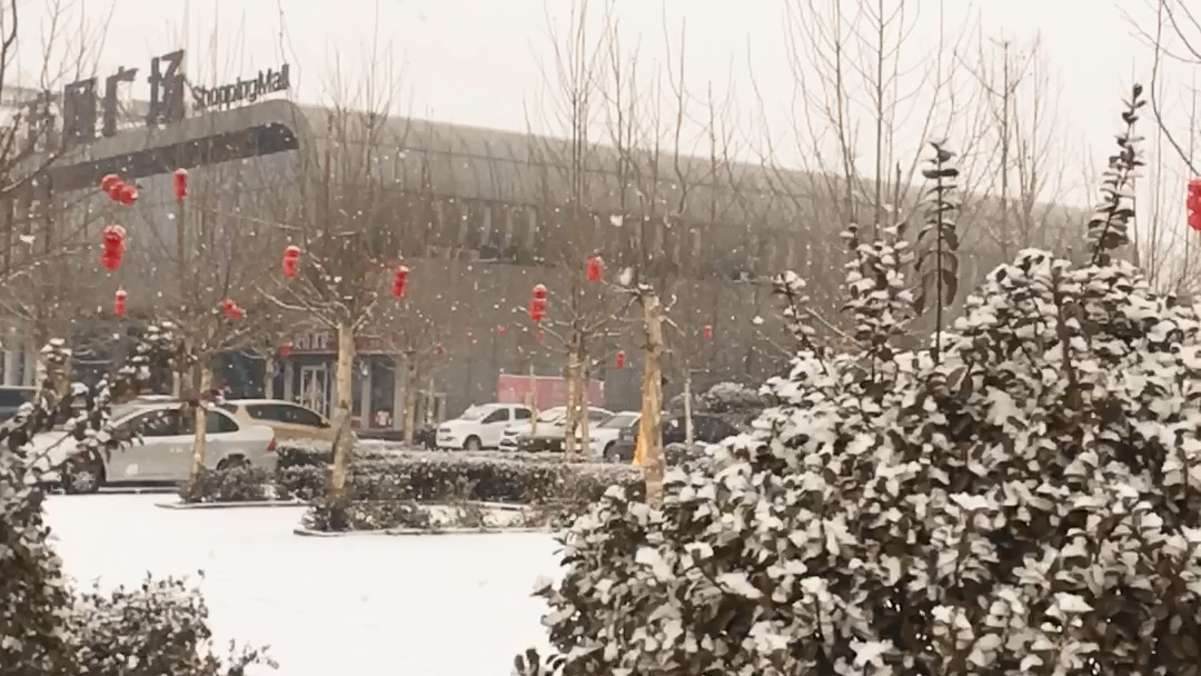 [图]今年第一场雪，新年好运各位！