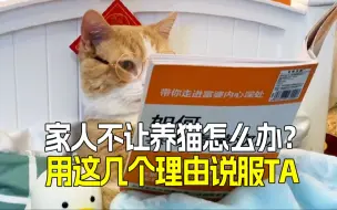 Download Video: 🙏妈妈，让我养猫吧🐱