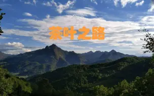 Descargar video: 【纪录片】【茶】【茶叶之路】第三十三集“:川”字茶传奇