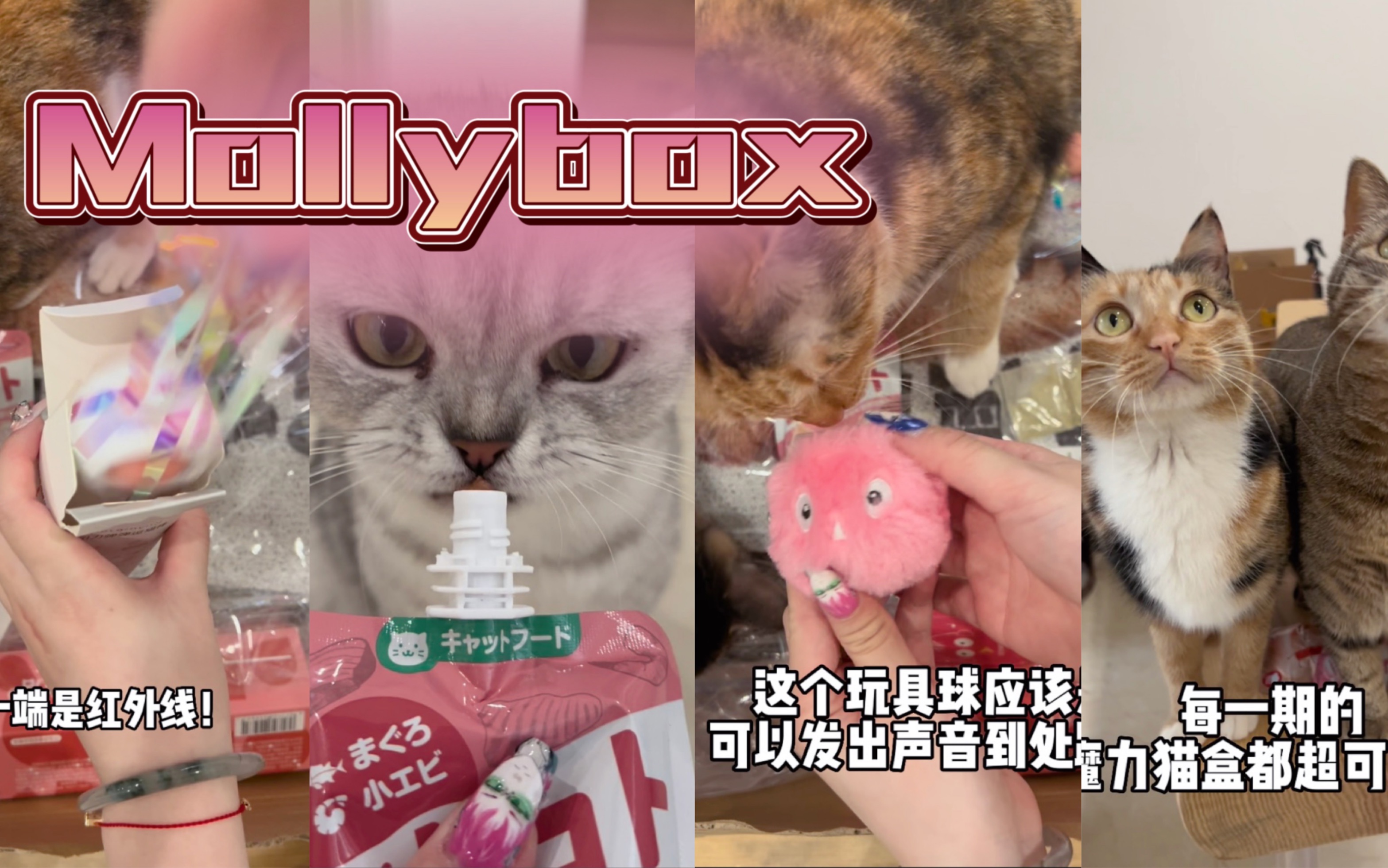 Mollybox 魔力猫盒开箱~哔哩哔哩bilibili