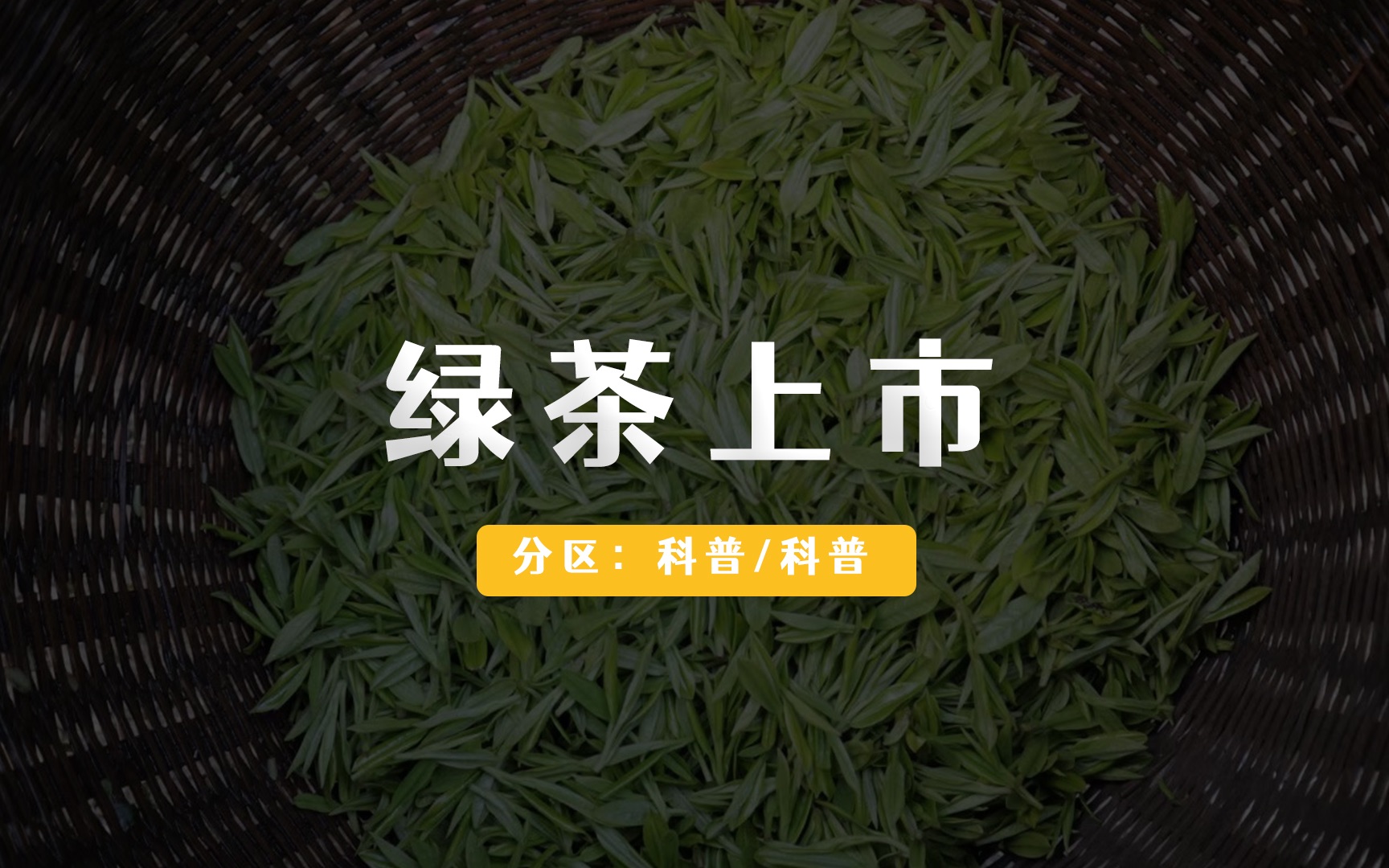 [图]绿茶的上市时间，全解