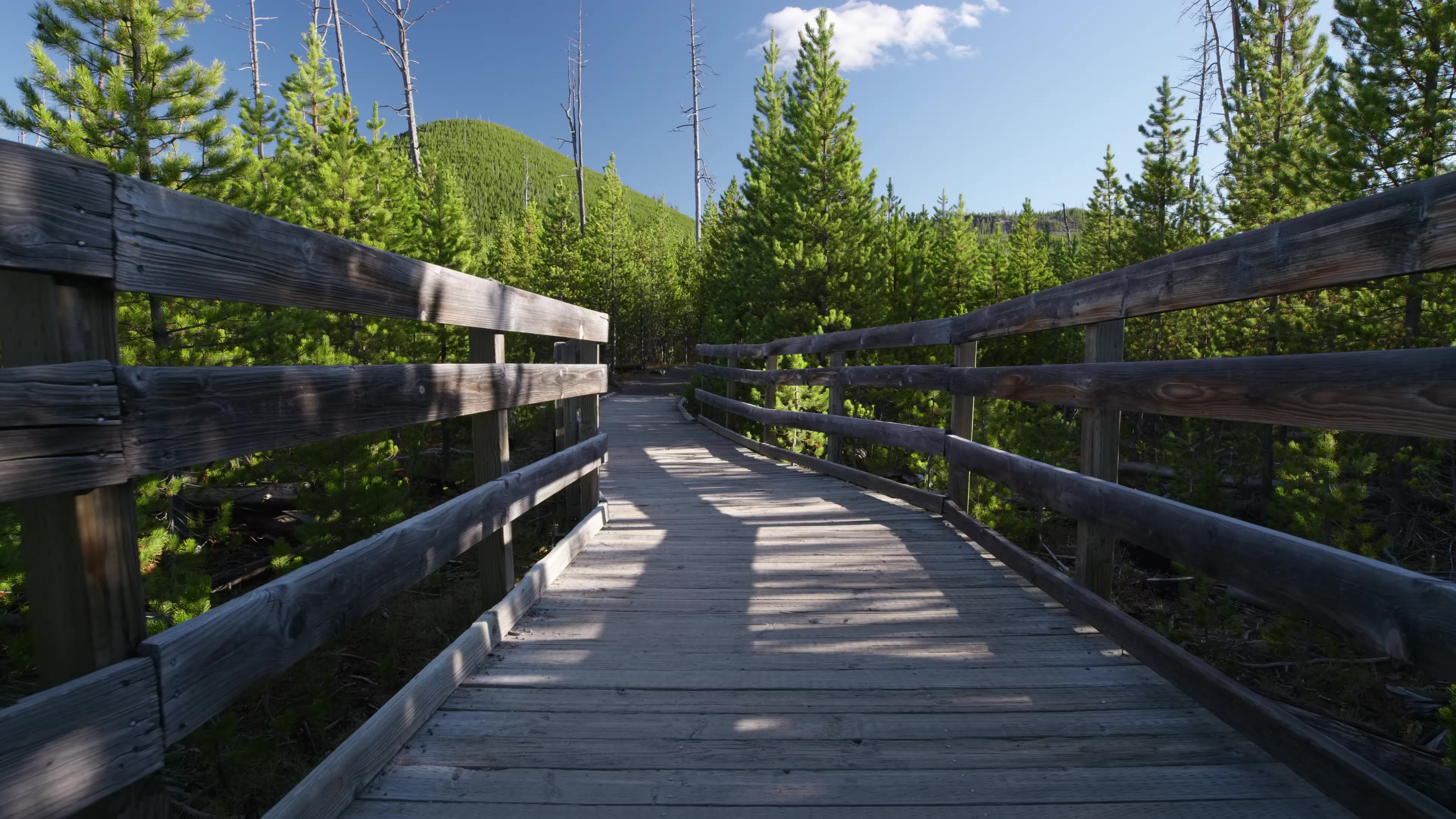 黄石国家公园yellowstone national park in 8k 60p (fuhd)
