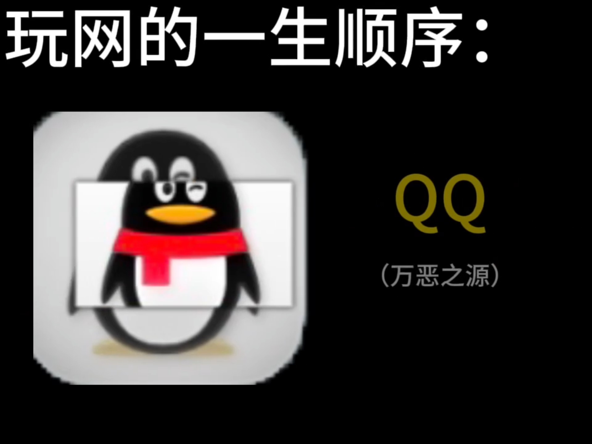 玩网人的一生