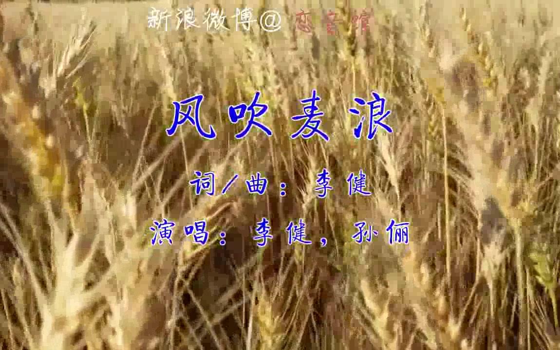 [图]风吹麦浪 - 李健，孙俪