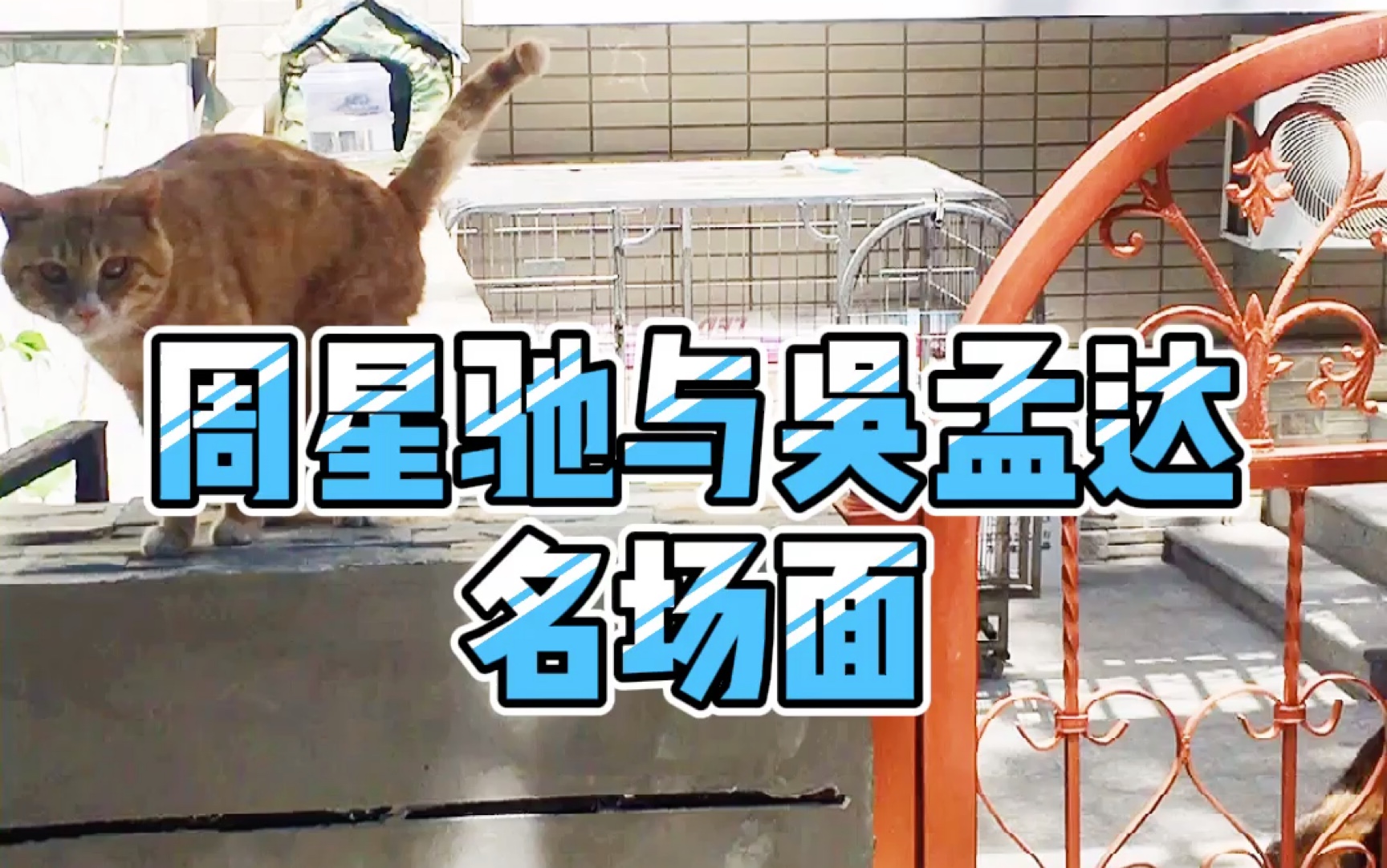 活动作品搞笑配音周星驰与吴孟达破坏之王名场面