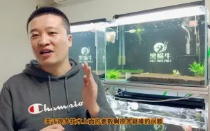 下载视频: 水晶虾的寿命