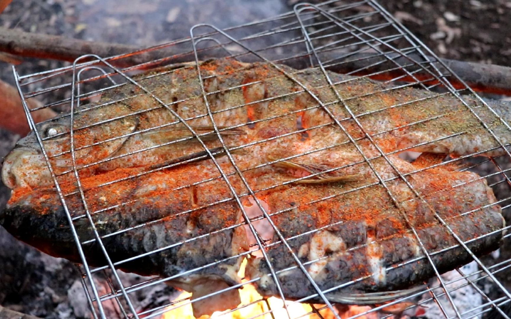 广西农村小哥湖边果木炭烤鱼,香到骨头里,再配上啤酒好爽啊