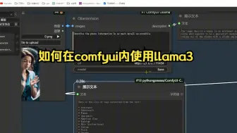 Download Video: 太强了5分钟教会你把llama3装进comfyui内