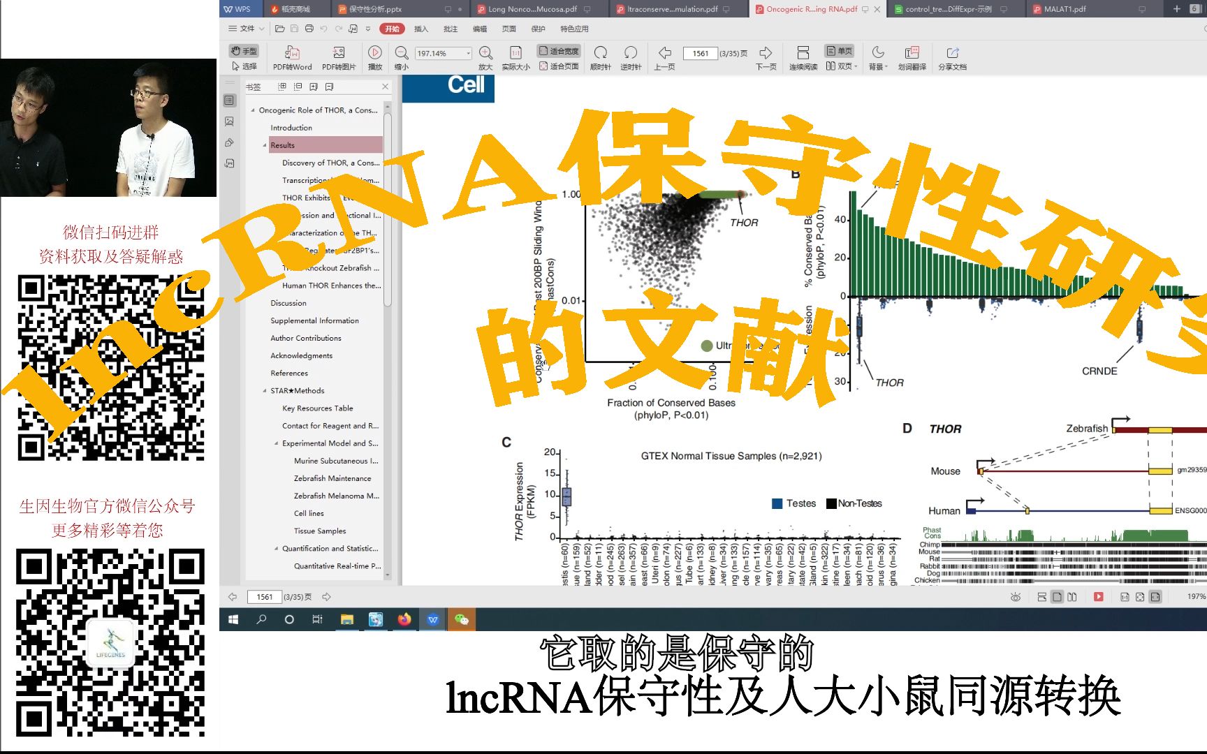 lncRNA保守性1文献研究中如何通过保守性筛选lncRNA的哔哩哔哩bilibili