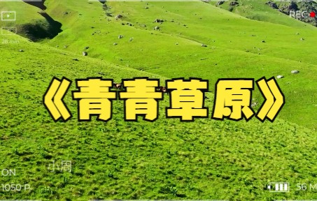 [图]听热歌《青青草原》赏草原风光，沉浸大自然，心情舒畅一整天！