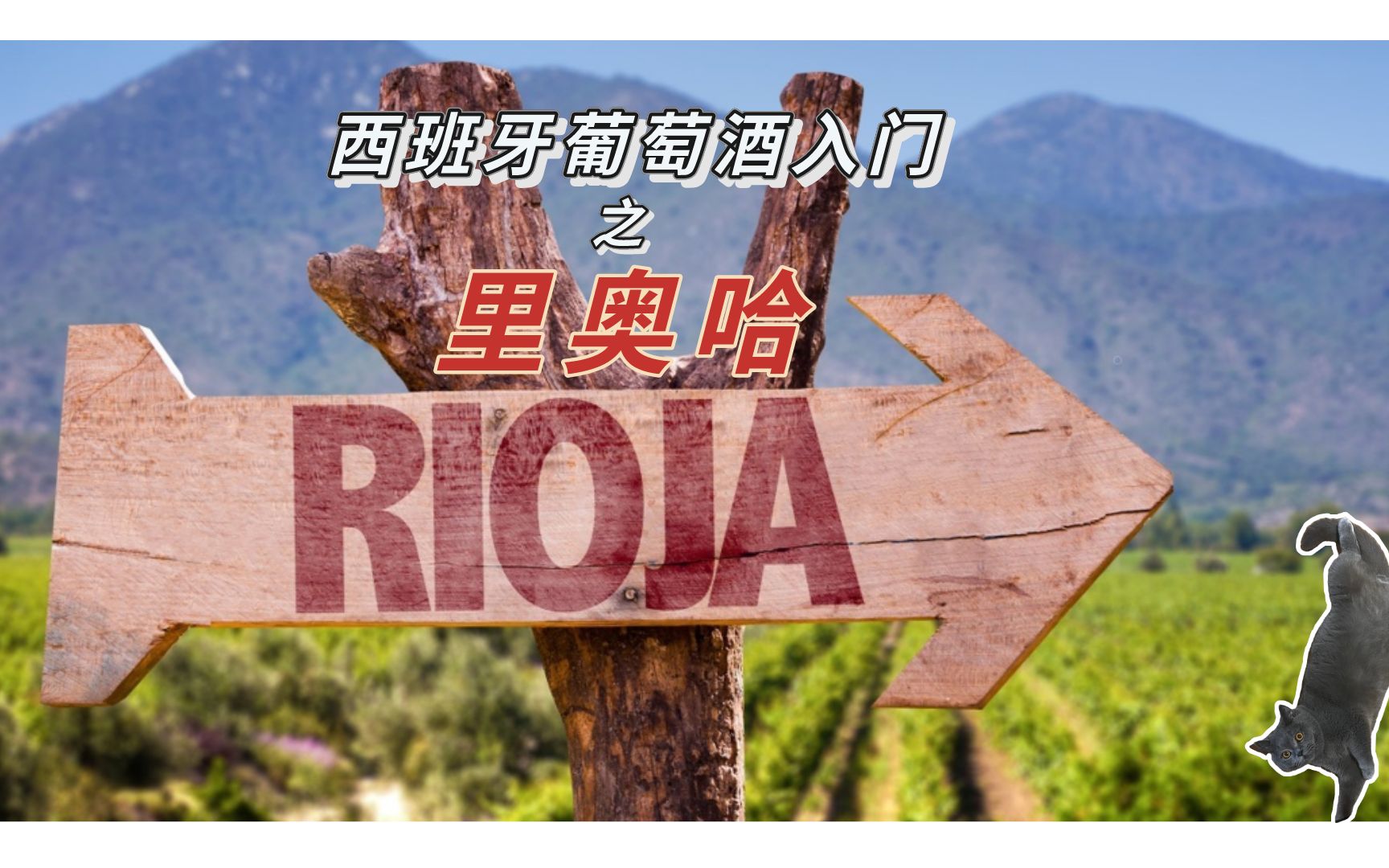 西班牙宝藏产地里奥哈Rioja【葡萄酒知识入门】哔哩哔哩bilibili