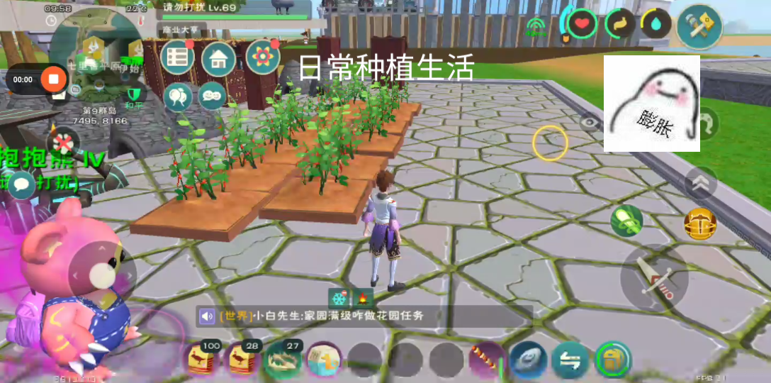 创造与魔法日常种植生活之辣椒