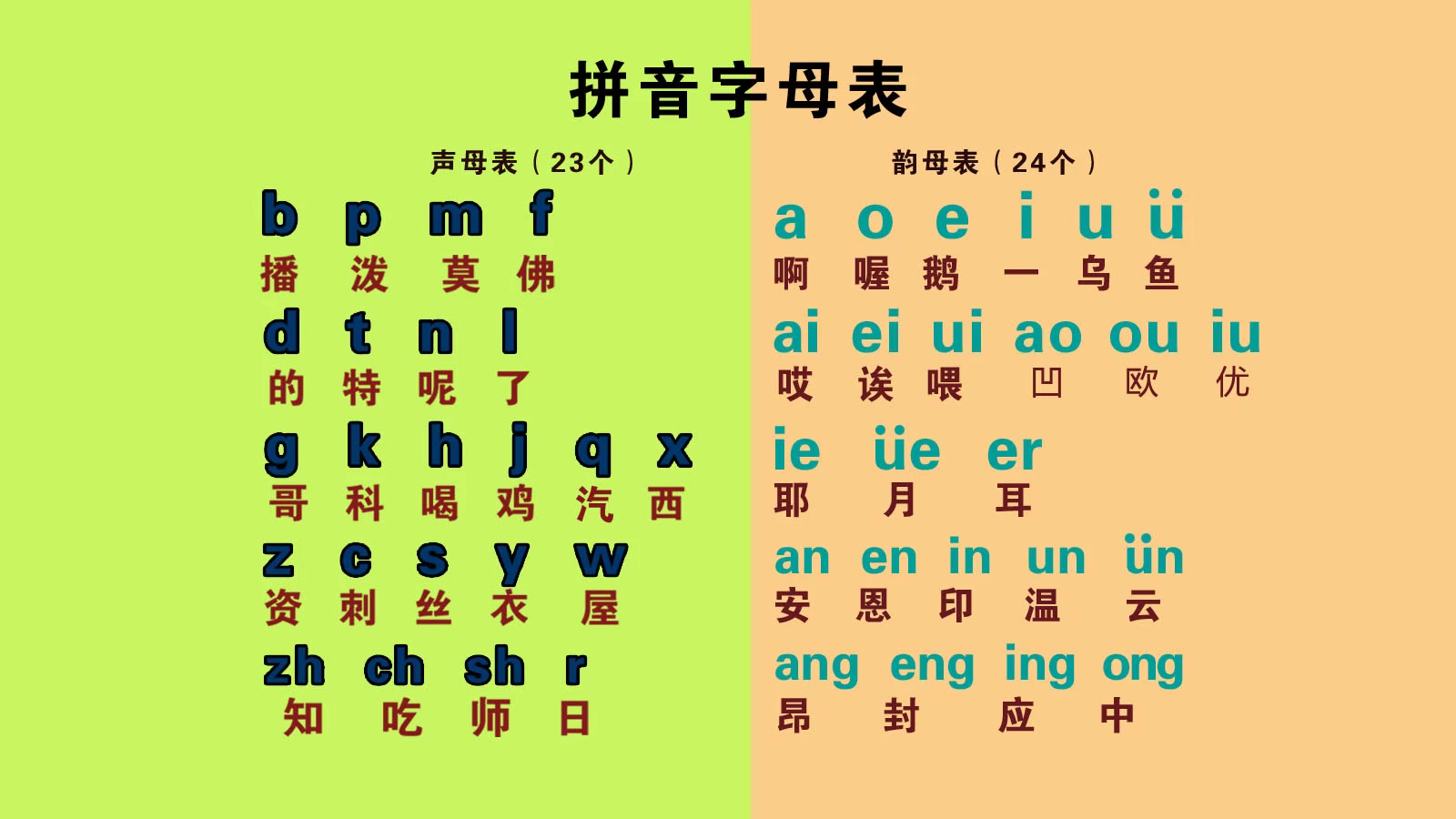 汉语拼音字母表零基础快速入门,声母表、韵母表、整体认读音节哔哩哔哩bilibili