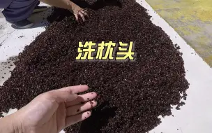 Скачать видео: 清洗荞麦皮枕头，虽然有点麻烦，看到那么脏就舒坦了